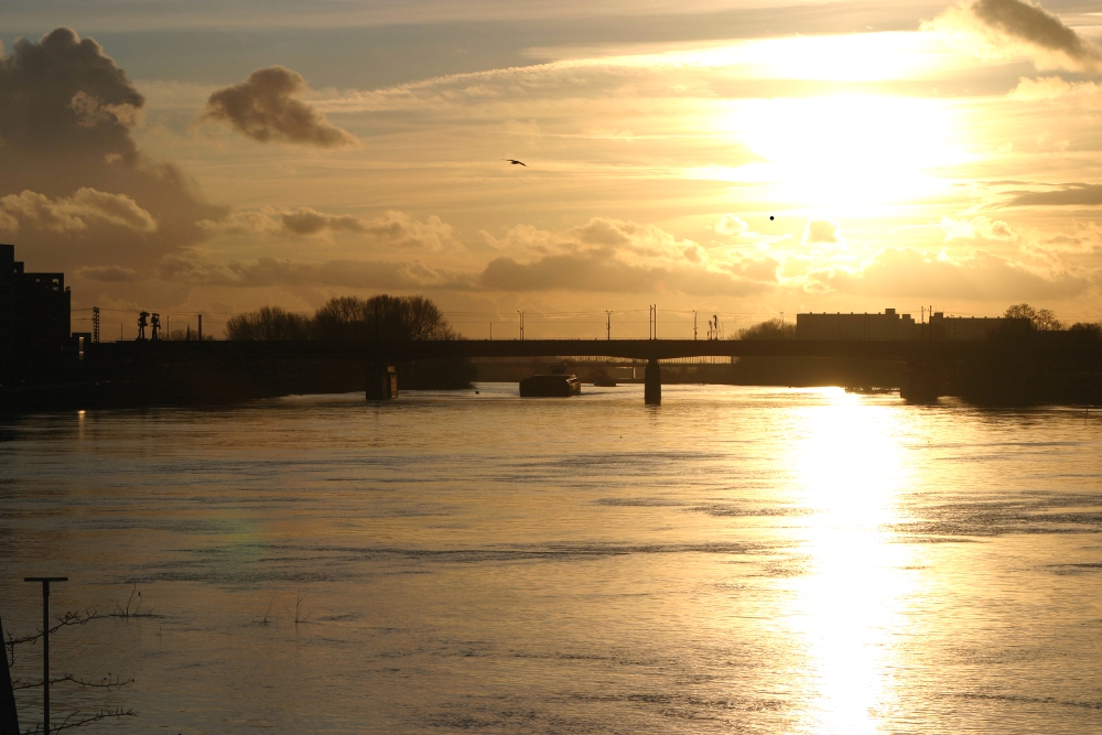 Maas bei Venlo