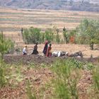 Maasai on the way to market