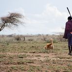 Maasai Warrior