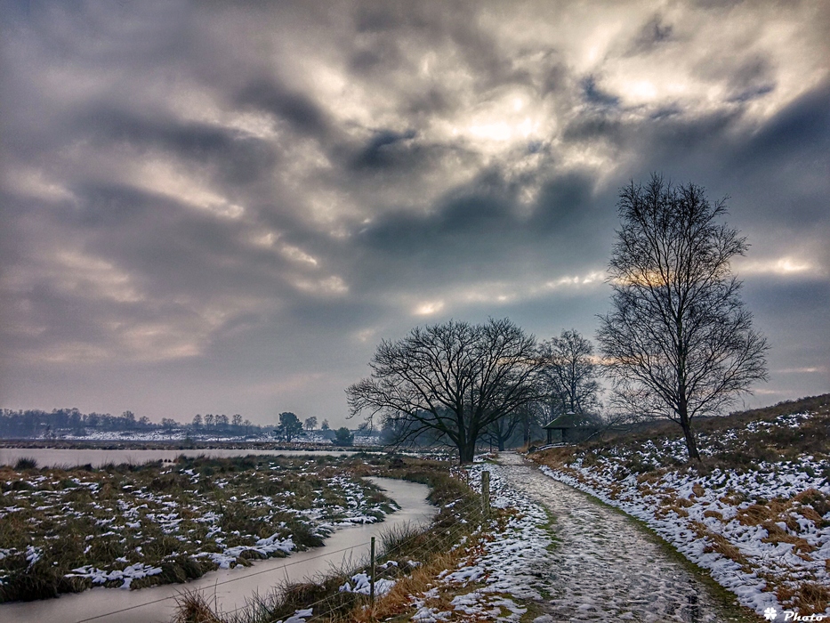 Maasdünen...