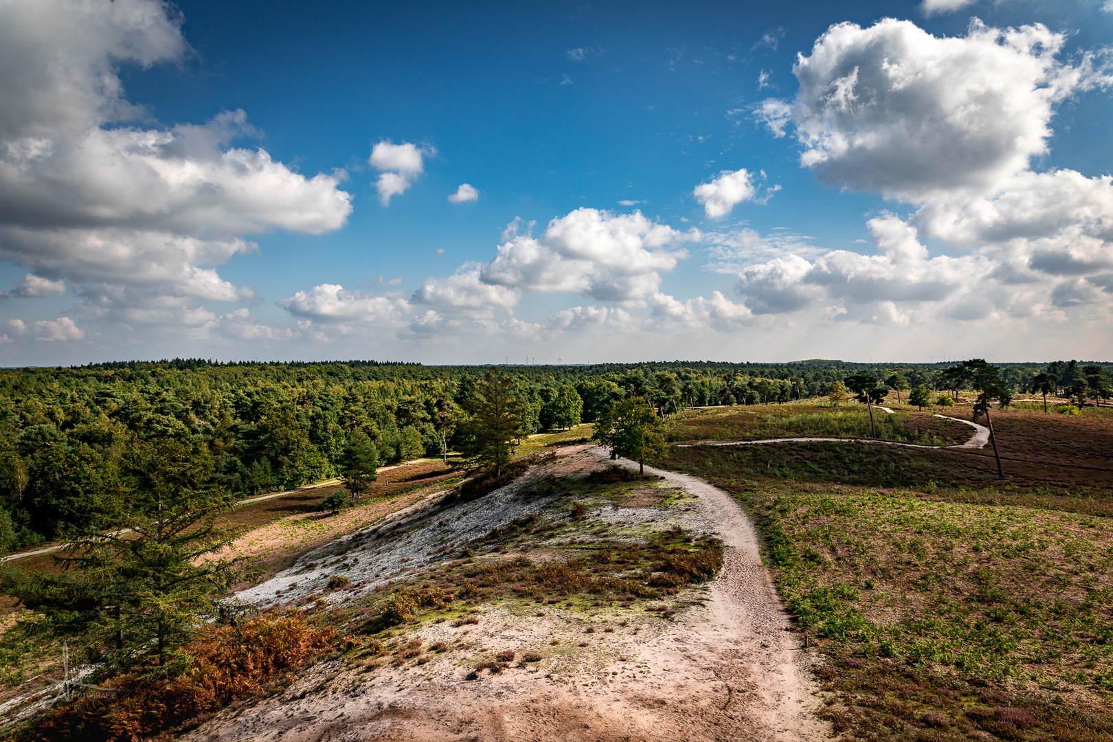 Maasduinen 1