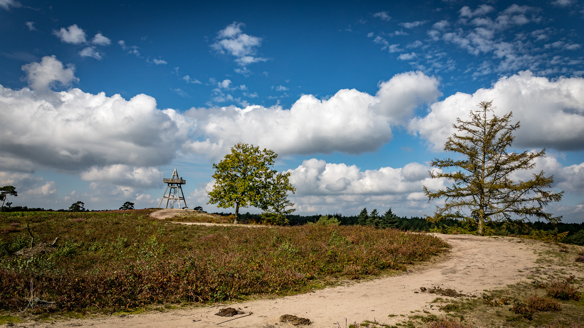 Maasduinen 2