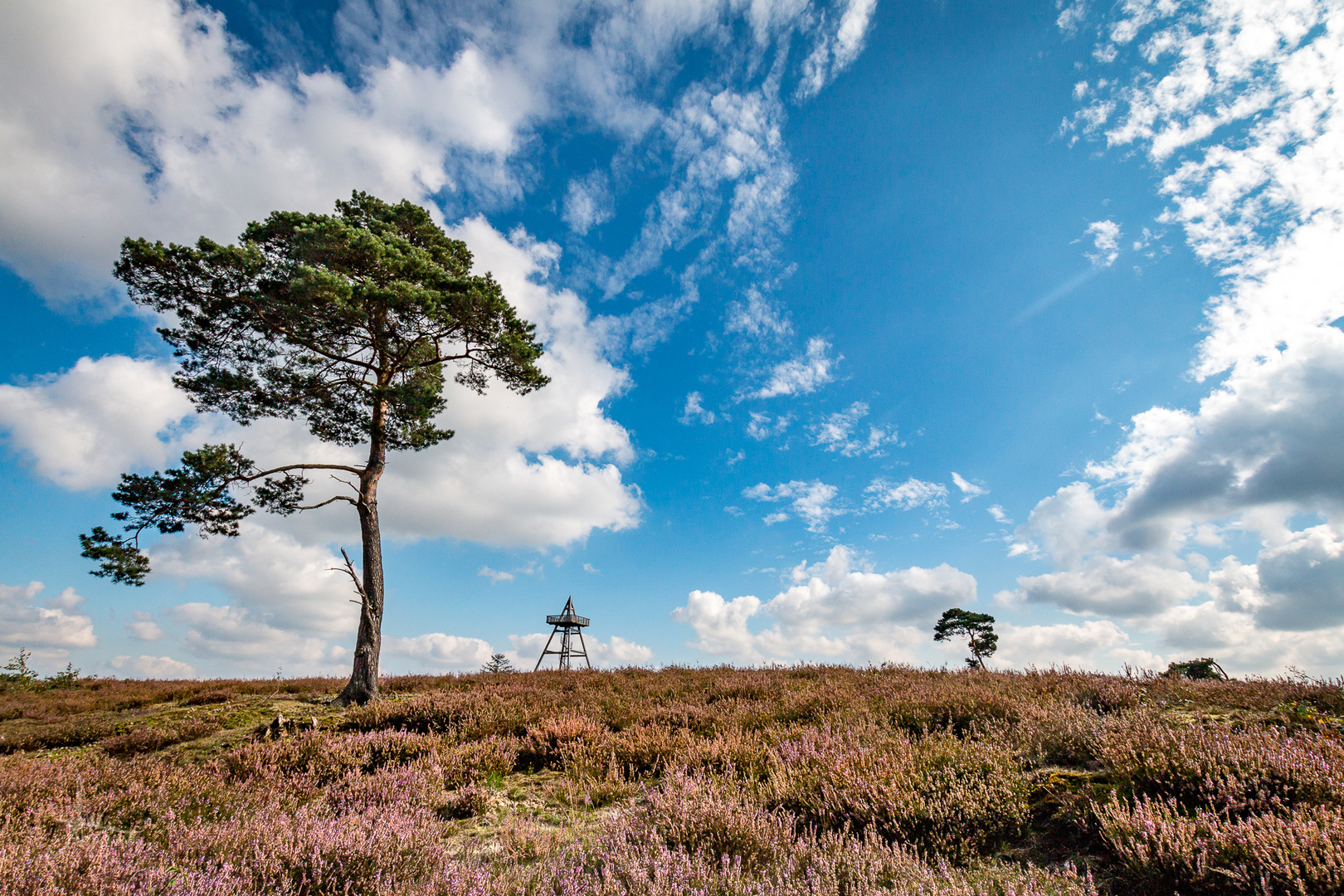 Maasduinen 4