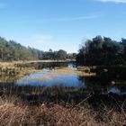 Maasduinen / Nederlands