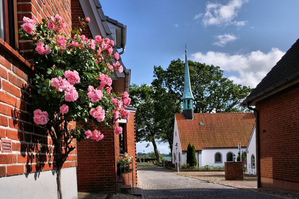 Maasholm an der Schlei (2)