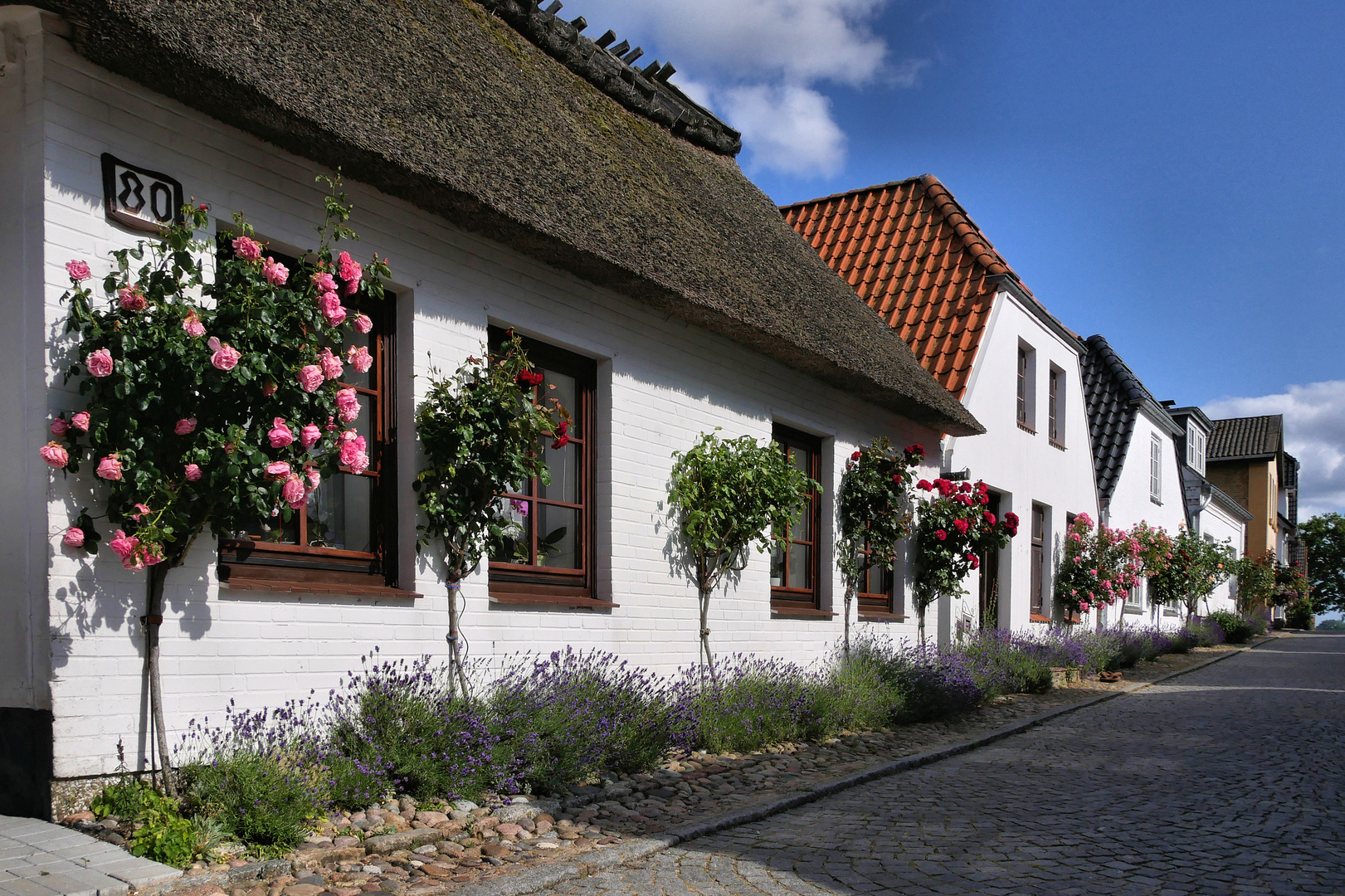 Maasholm an der Schlei (4)