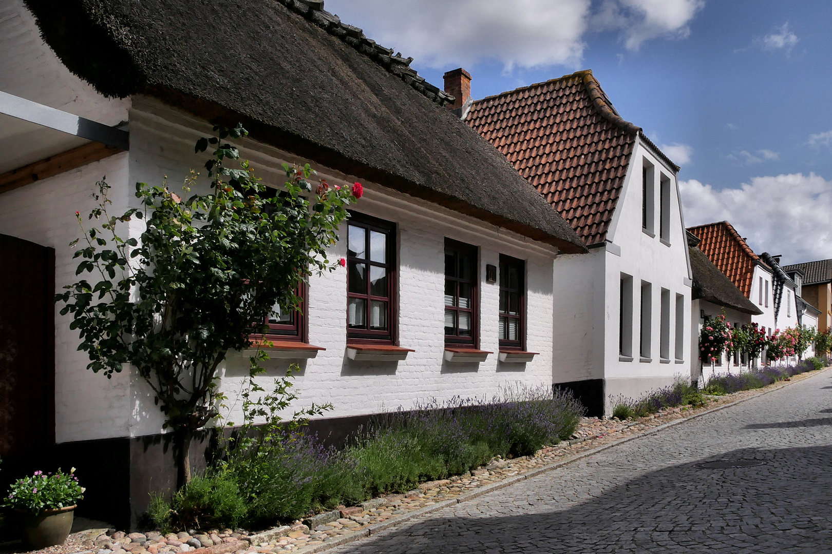 Maasholm an der Schlei