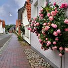 Maasholm an der Schlei