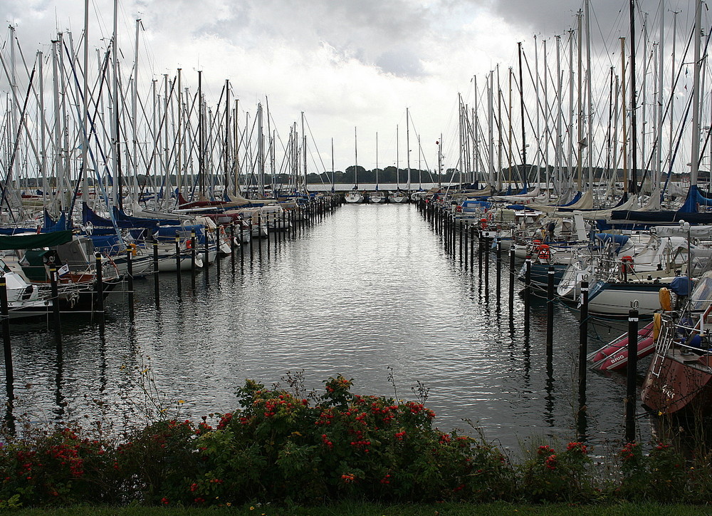 Maasholm August 2009