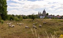 Maastricht - Frontenpark - Sint Lambertuskerk - 12