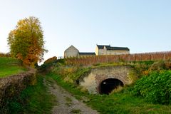 Maastricht - Jeker-river Valley (Jekerdal) - Dalingsweg with Apostelhoeve Vineyard - 1