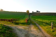 Maastricht - Jeker-river Valley (Jekerdal) - Dalingsweg-Zeenendaalweg with Apostelhoeve Vineyard - 2