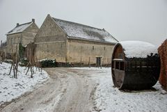 Maastricht Jekerdal - Apostelhoeve Vineyard