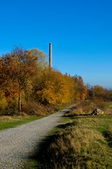 Maastricht - Woods at Sint Pietersberg with ENCI-chimney - 12