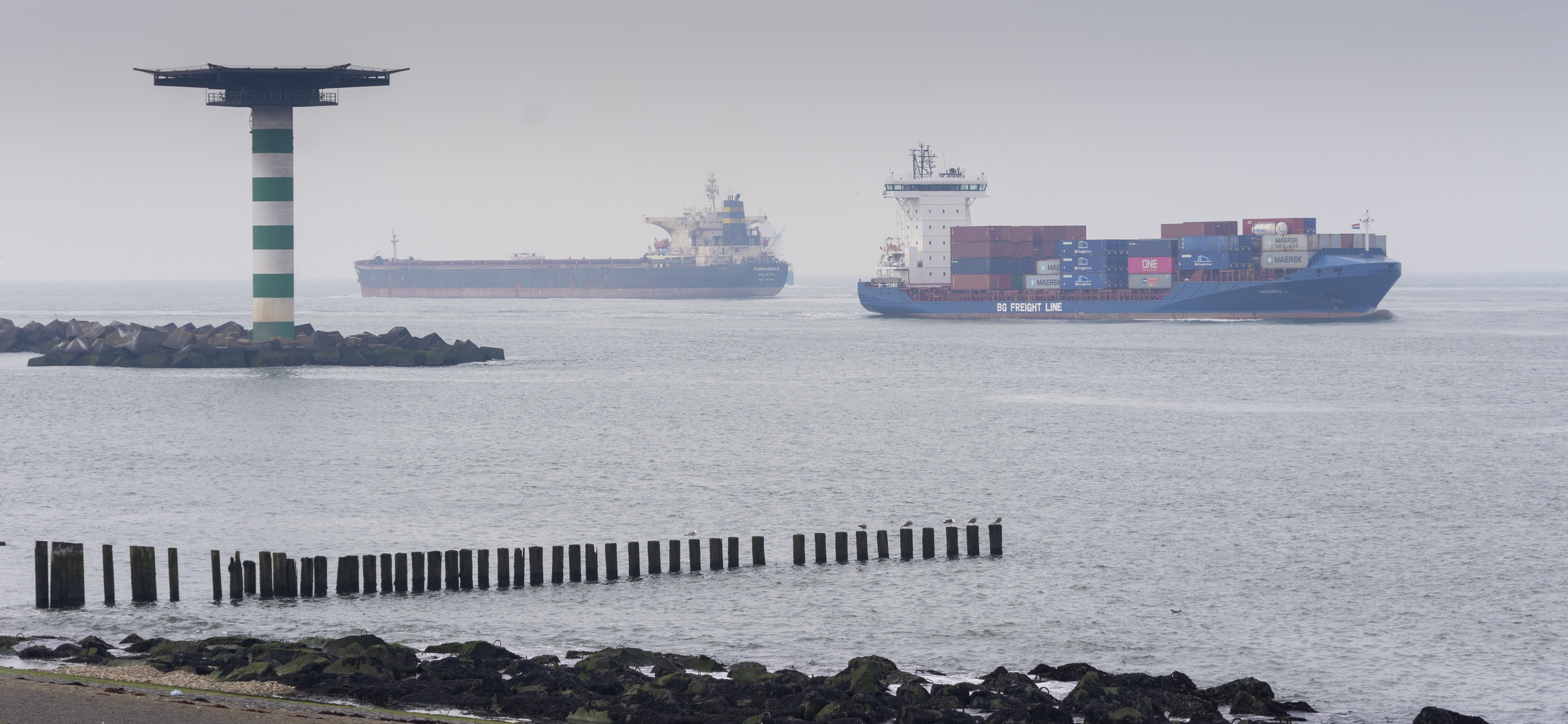 Maasvlakte - Nieuwe Waterweg Estuary