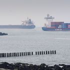 Maasvlakte - Nieuwe Waterweg Estuary