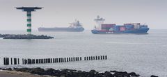 Maasvlakte - Nieuwe Waterweg Estuary