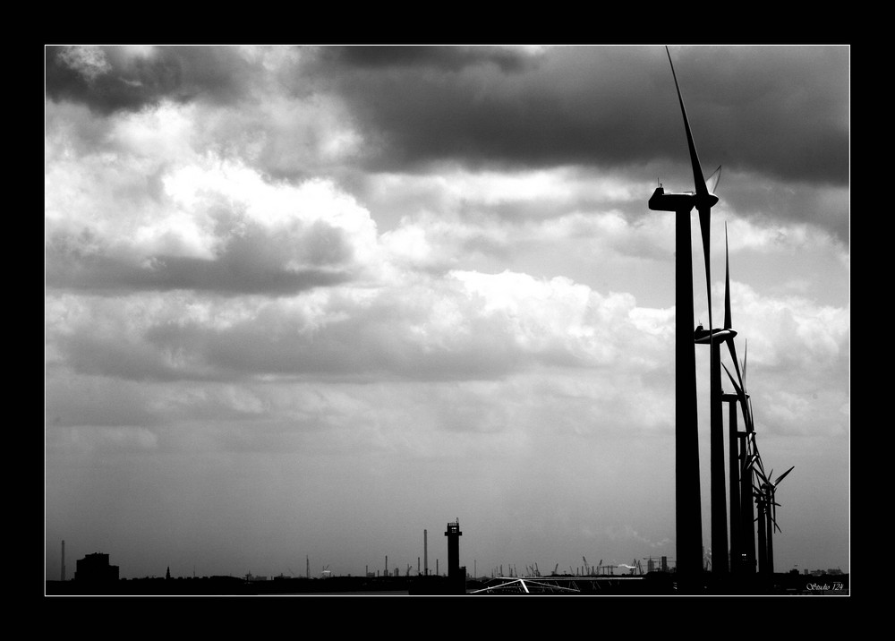 Maasvlakte Rotterdam