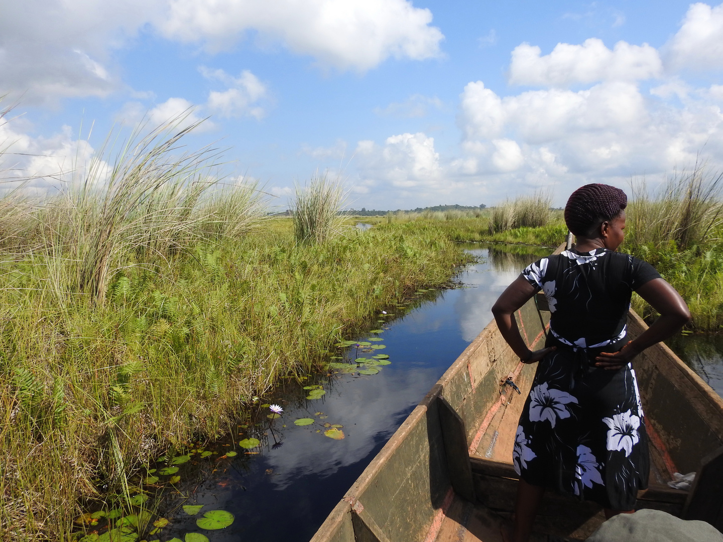 Mabamba Swamps