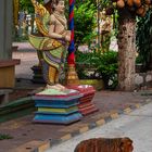 Macaque in Wat Prachum Sako