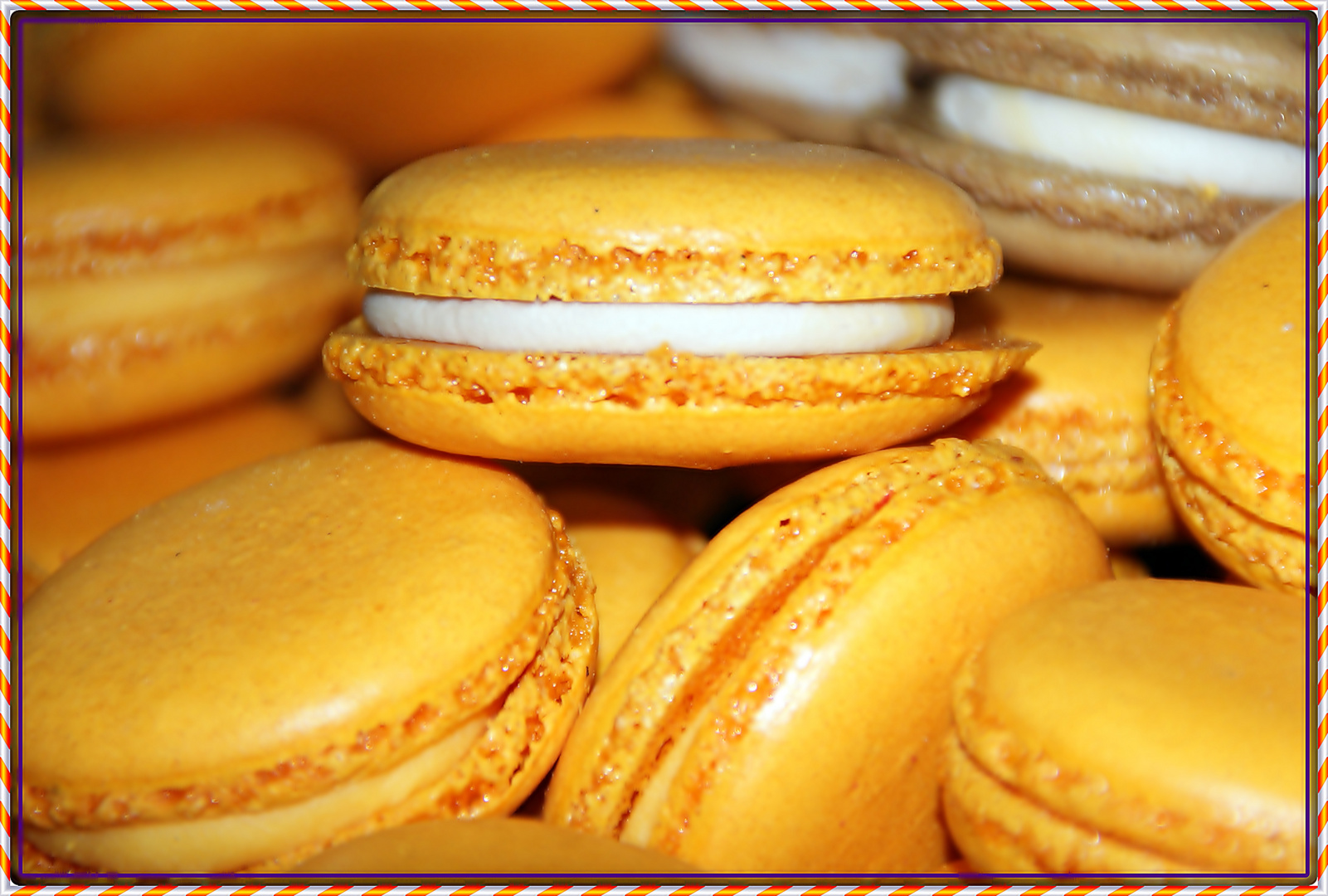 macarons don ramon