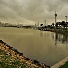 Macau Tower & Taipa bridge.