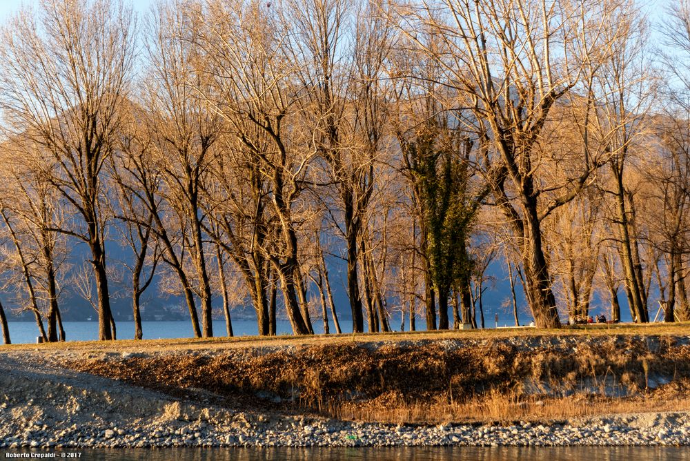 Maccagno, Parco Giona