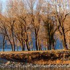 Maccagno, Parco Giona