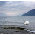 Maccagno vista sul lago Maggiore