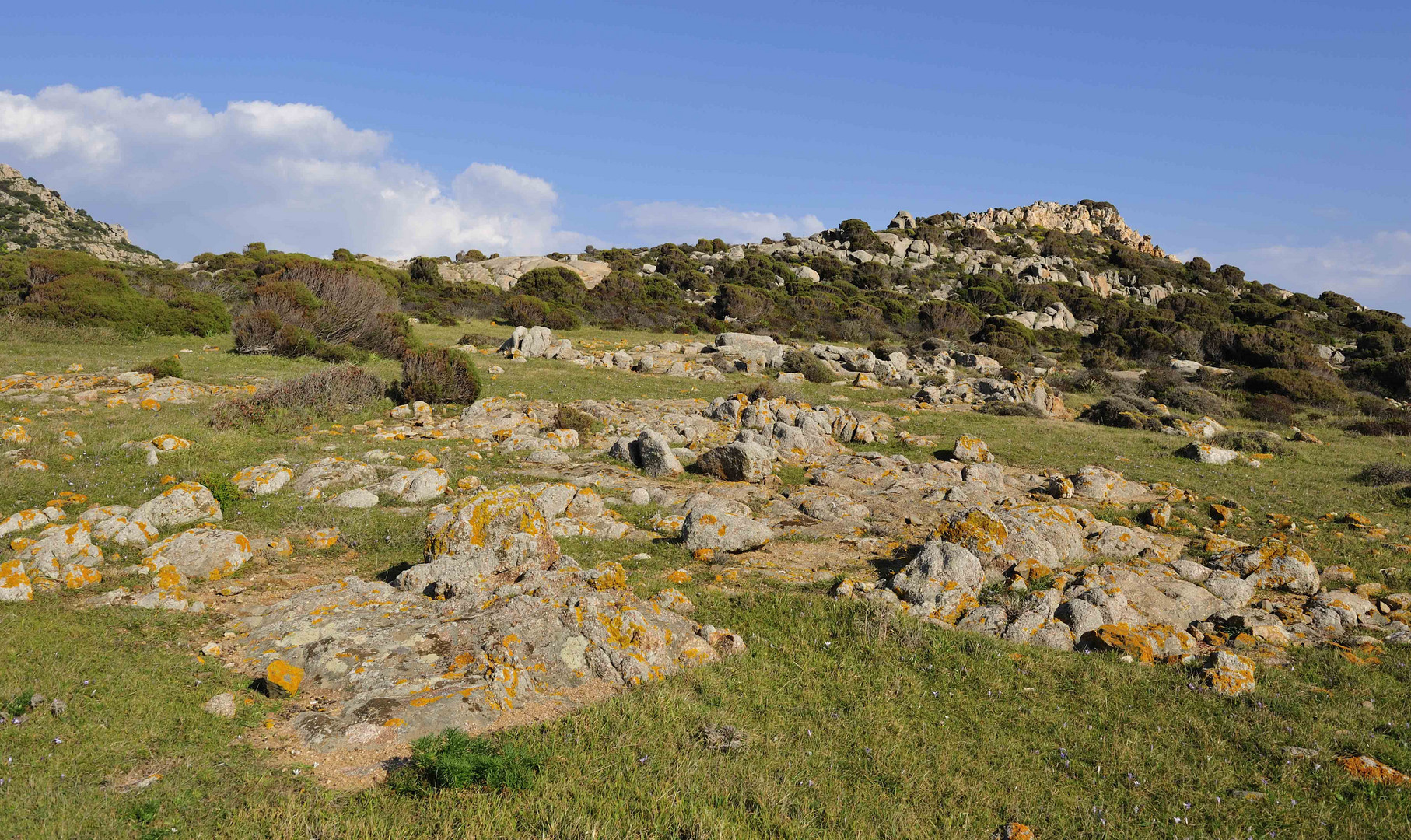 Macchia bewachsene Küstenlandschaft von Chia