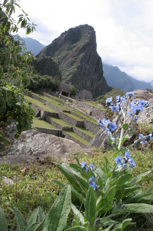 Macchu Picchu