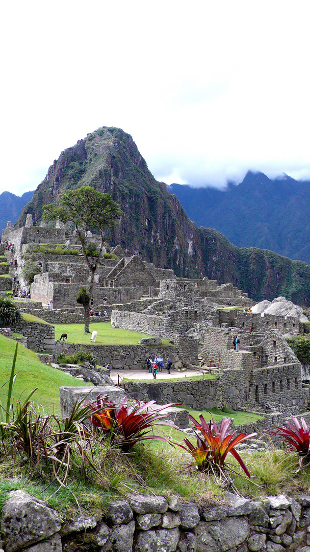 Macchu Picchu