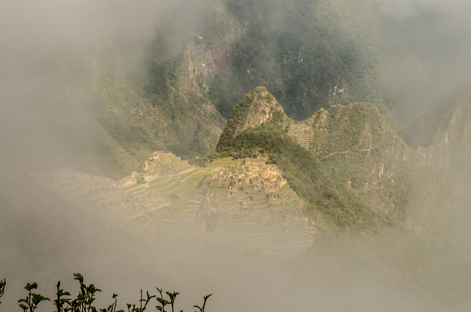 Macchu Pichu im Nebel