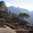 Maccu Picchu