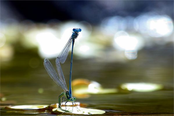 mach bloß hinne.....wird schon dunkel