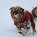 Mach das weg!!!