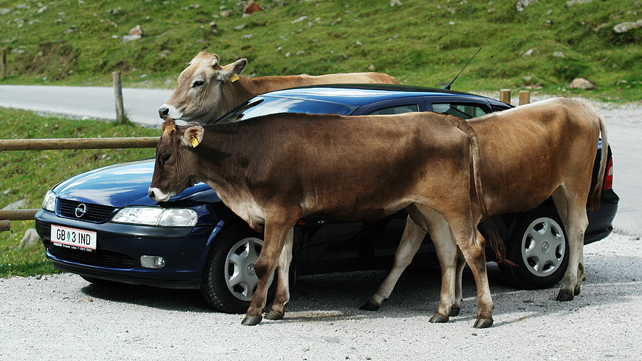 Mach doch mal die Motorhaube auf,