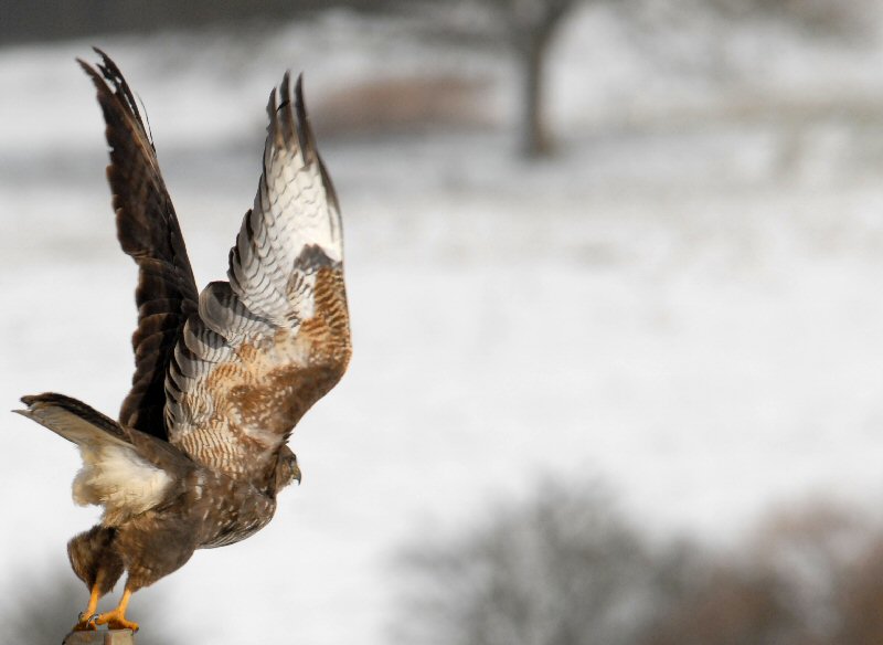 Mach einen Abflug!