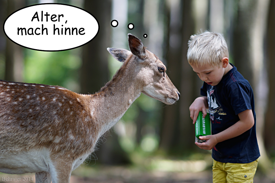 Mach Hinne Mach Hinne