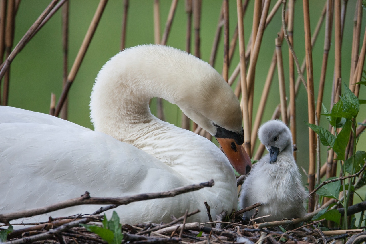 Mach ich das so richtig, Mama?