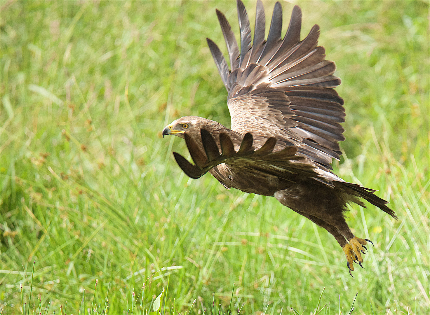 mach mal den Abflug