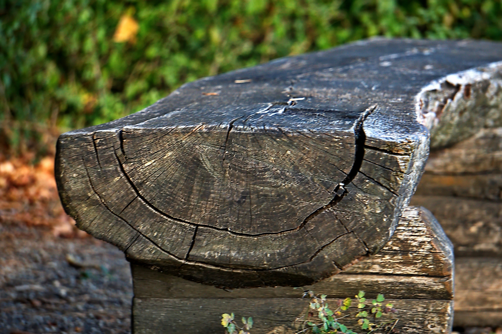 Mach mal Pause .... Foto &amp; Bild | landschaft, sonstiges, totes Bilder ...