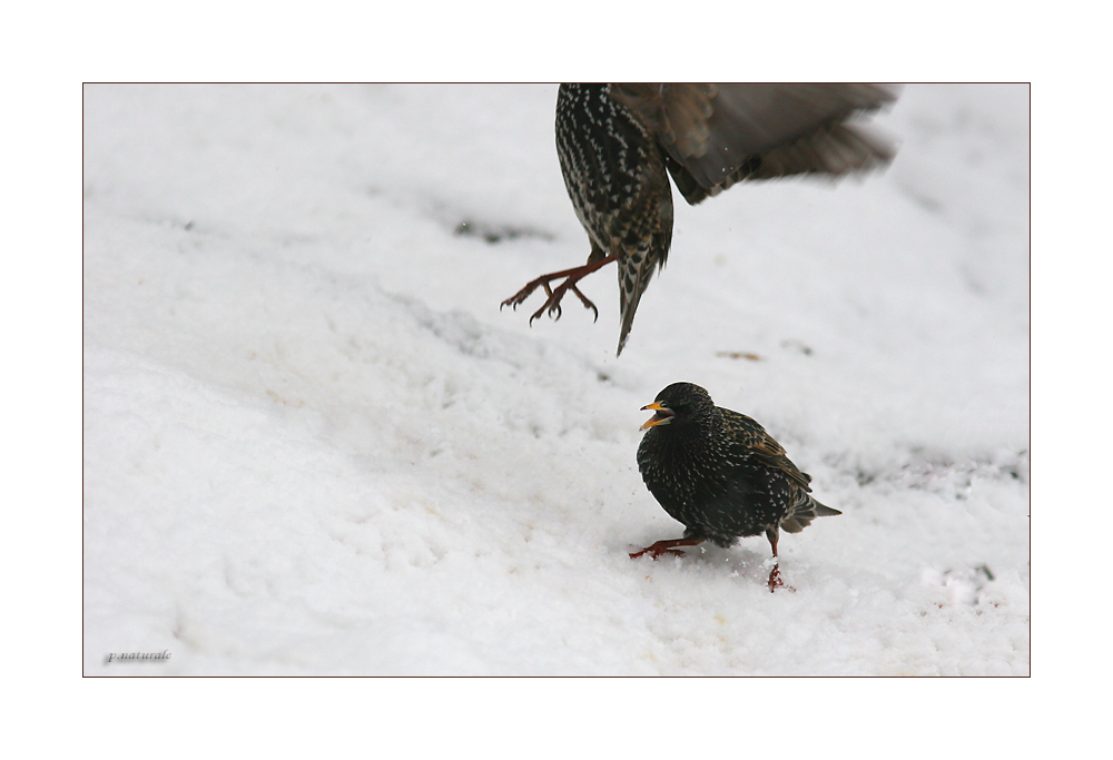 "Mach nicht so'n Wind!"