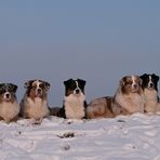 Mach schnell - der Bauch wird kalt!