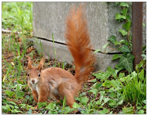"Mach schnell, ich hab's eilig!"
