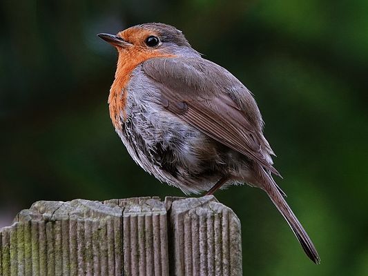 mach schon dein Foto, mir wird kalt