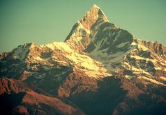 Machapuchare 6993m - majestätisch im Licht des Sonnenaufgangs