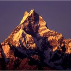 Machapuchare (Fischschwanz) 6997 m - für viele der schönste Berg der Welt