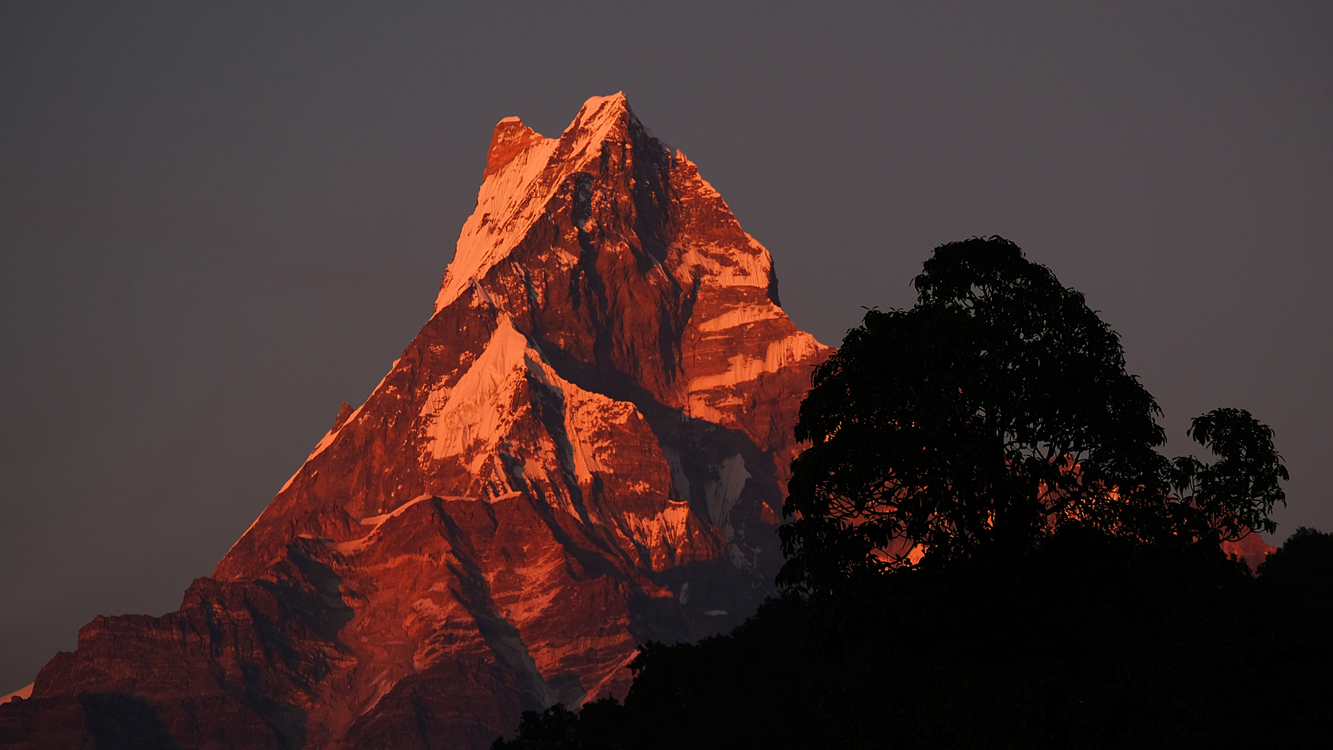 Machapuchare - Fish Tail Mountain