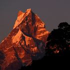 Machapuchare - Fish Tail Mountain